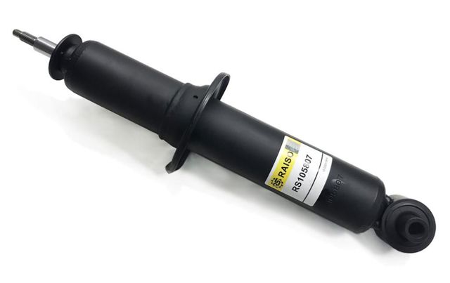RAISO RS105807OIL Амортизатор задний в наличии Украина