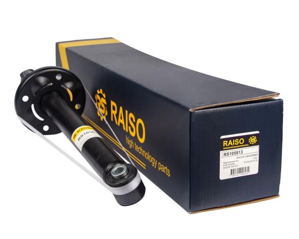 RS105813 RAISO Амортизатор задний купить в Сумы