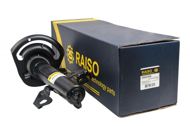 RS267696 RAISO Амортизатор передний левый купить в Ужгород
