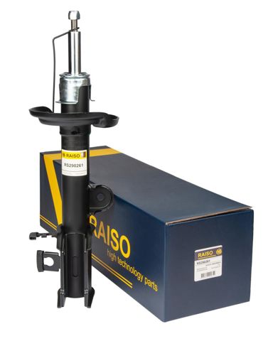 RAISO RS290261 Амортизатор задний левый в наличии Киев