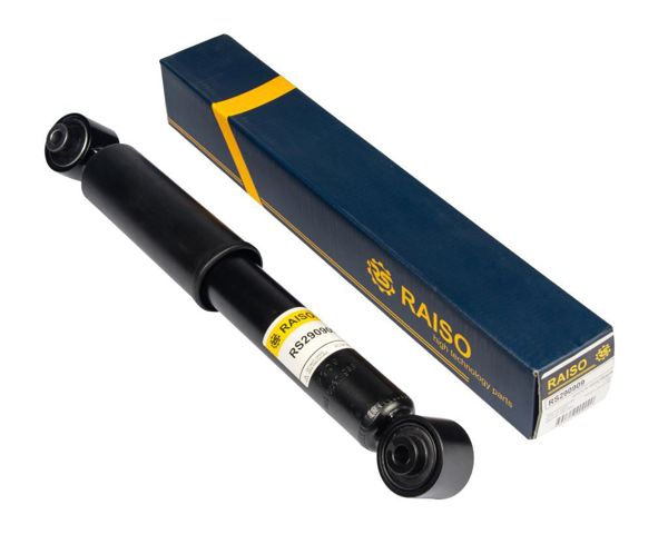 RS290909 RAISO Амортизатор задний купить в Одесса