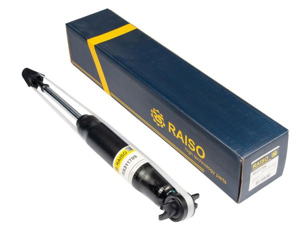 RS311709 RAISO Амортизатор передний купить в Ужгород