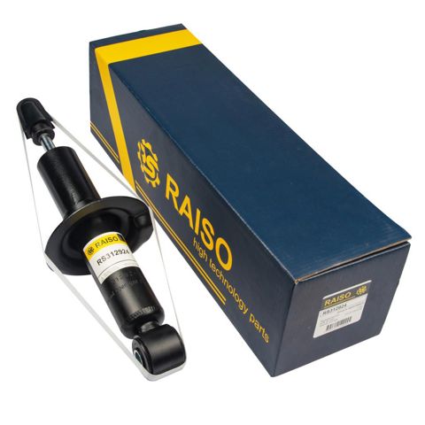 RAISO RS312924 Амортизатор задний в наличии Ровно