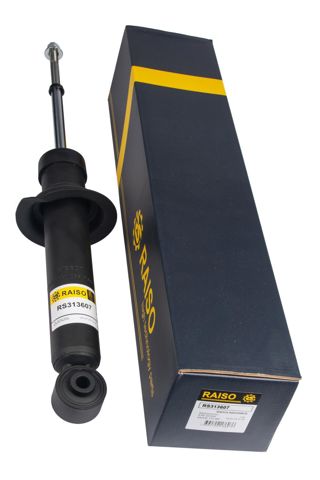 RAISO RS313607 Амортизатор задний в наличии Чернигов