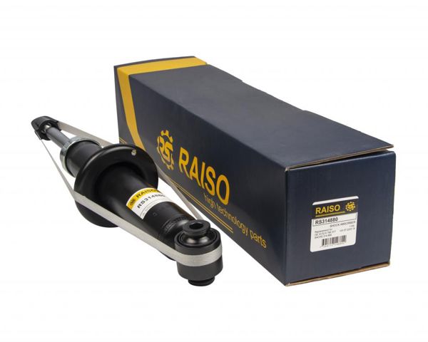RAISO RS314880 Амортизатор задний в наличии Львов