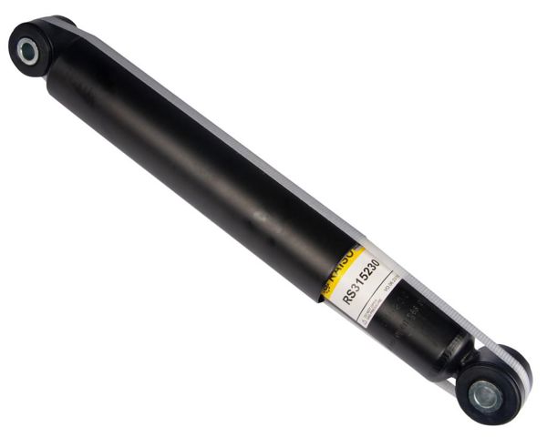 RAISO RS315230 Амортизатор задний в наличии Хмельницкий