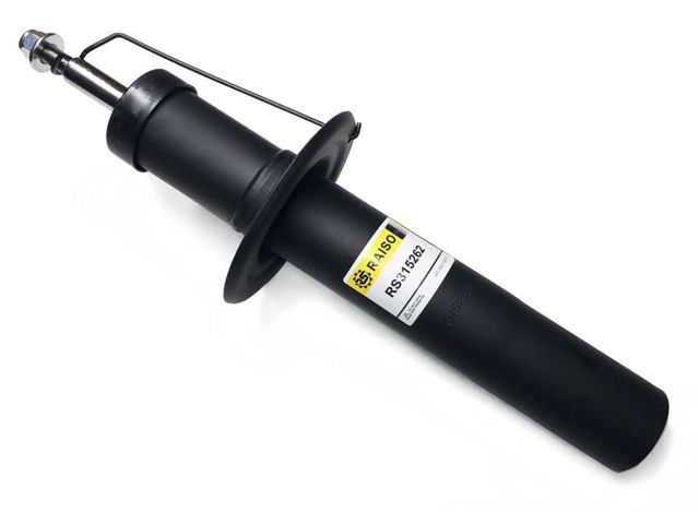 RAISO RS315262 Амортизатор передний в наличии Черновцы