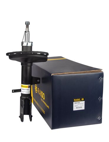 RAISO RS317155 Амортизатор задний левый в наличии Львов