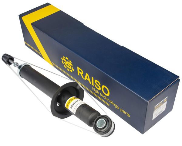 RAISO RS317272 Амортизатор задний в наличии Житомир