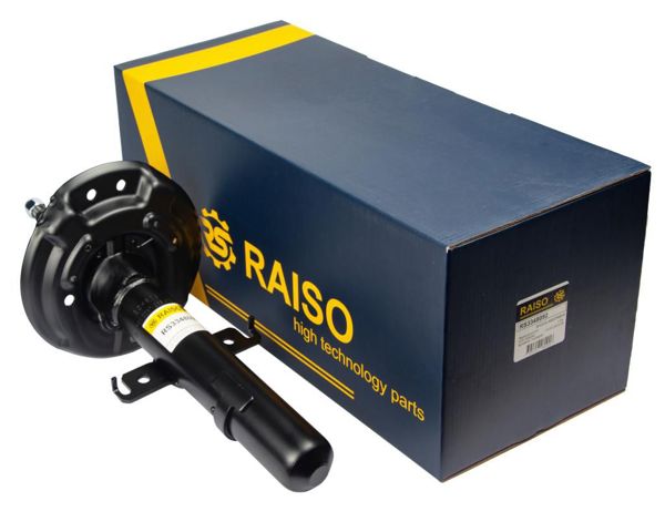 RAISO RS3348092 Амортизатор передний в наличии Днепр