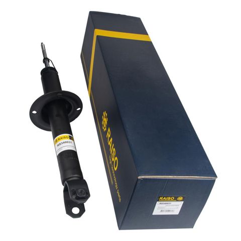 RS340031 RAISO Амортизатор задний купить в Ирпень