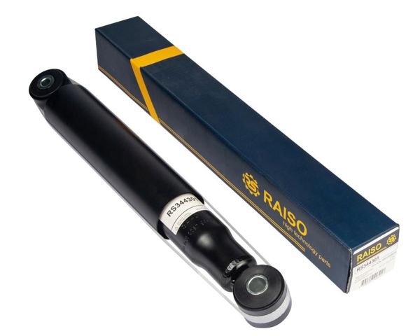 RAISO RS344301 Амортизатор задний в наличии Черновцы