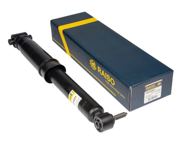 RAISO RS3448031 Амортизатор задний в наличии Чернигов