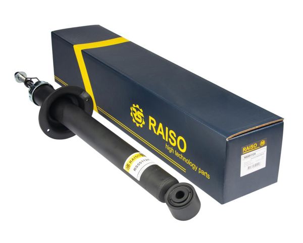 RS551124 RAISO Амортизатор задний левый купить в Ирпень