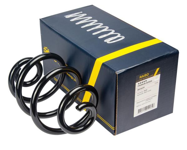 RAISO SR165TP Пружина задняя в наличии Киев