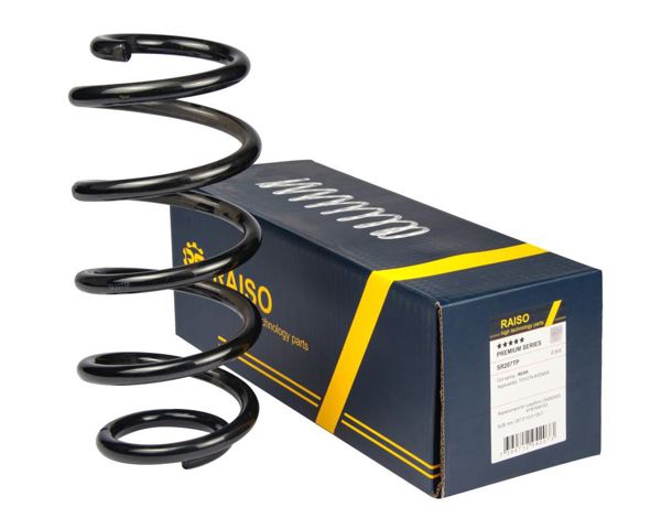 SR207TP RAISO Пружина задняя купить в Черновцы