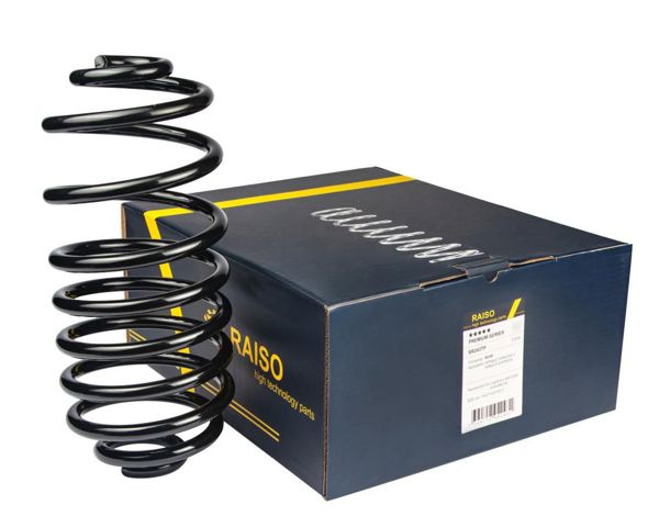 RAISO SR243TP Задняя пружина в наличии Житомир