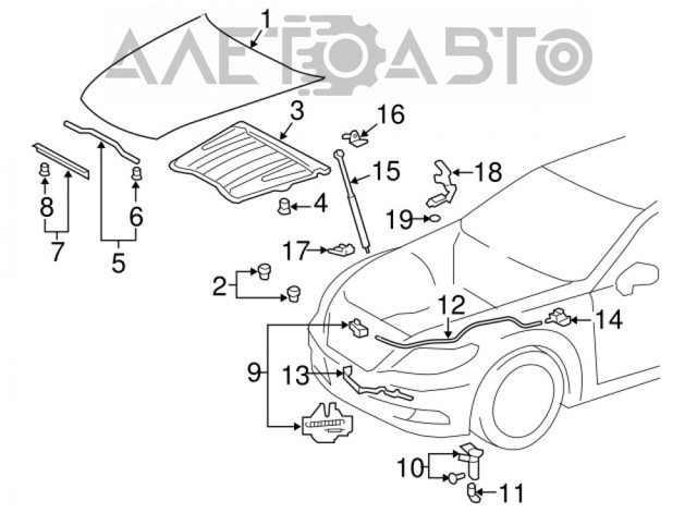 TOYOTA 9054115037 Буфер (отбойник) капота в наличии Львов