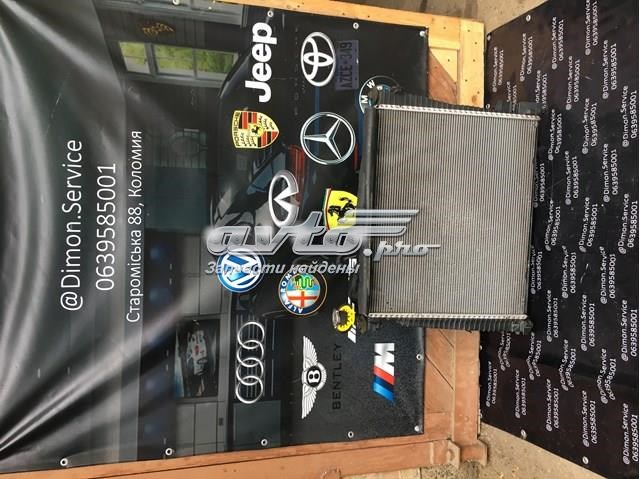 Укрепления для радиаторов A9068800403 MERCEDES