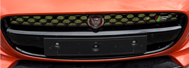 Фирменный значек решетки радиатора C2D45429 JAGUAR