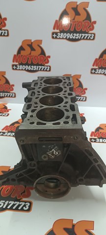 Блок цилиндров 110109529R RENAULT