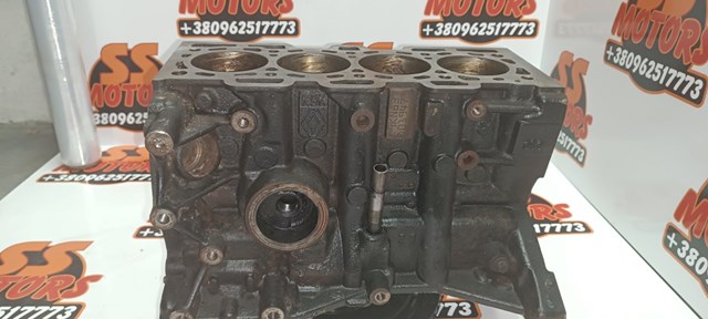 RENAULT 110109529R Блок цилиндров двигателя в наличии Запорожье