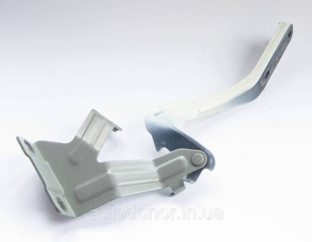 NISSAN F54013NFMA Петля капота левая в наличии Житомир