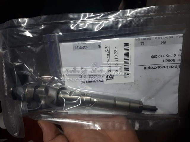 BOSCH 0445110289 Топливные форсунки в наличии Хмельницкий