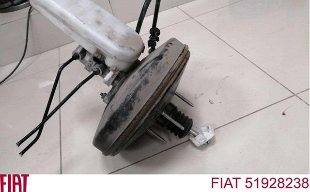 ВУТ 51928238 FIAT