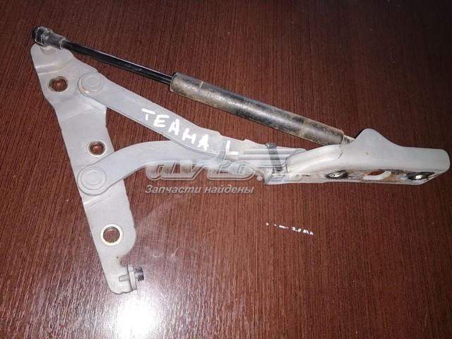Петля багажника 844019Y000 NISSAN