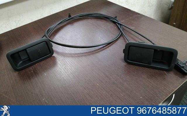 9676485877 PEUGEOT купить в Чернигов