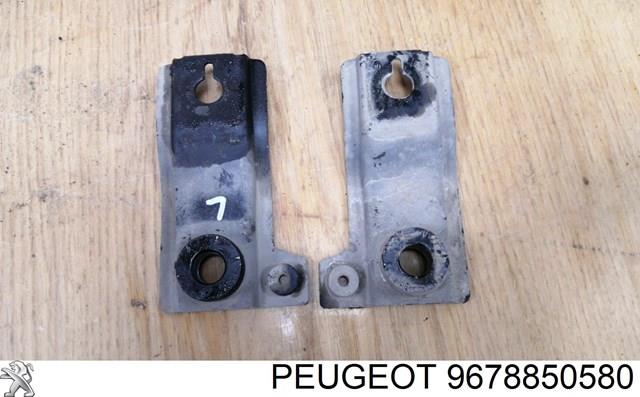 9678850580 Peugeot/Citroen