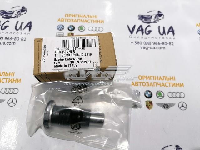 06H109467AE Натяжитель цепи ГРМ купить Павлоград