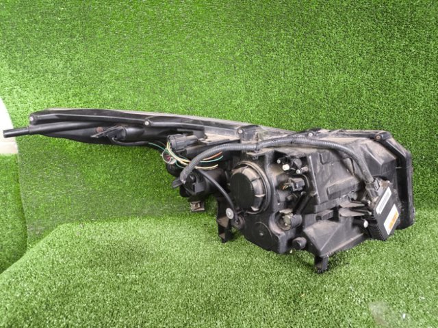 260601CA1A NISSAN Фара левая купить в Кривой Рог