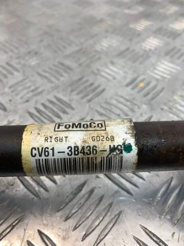 FORD CV6Z3B436AX в наличии Черновцы