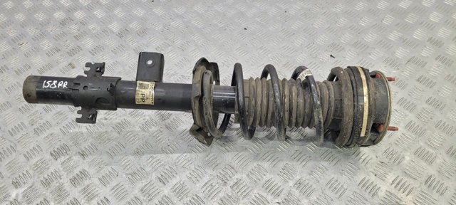 Амортизатор задний, правый LR070942 LAND ROVER