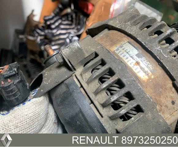 RENAULT 8973250250 Генератор в наличии Черновцы