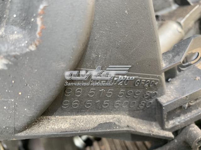 9651559980 PEUGEOT Защита ремня ГРМ внутренняя верхняя купить в Черновцы