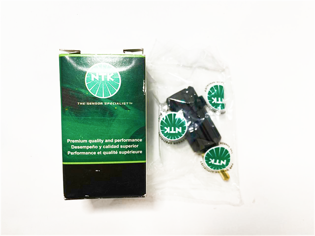 Термовыключатель EF0086 NTK
