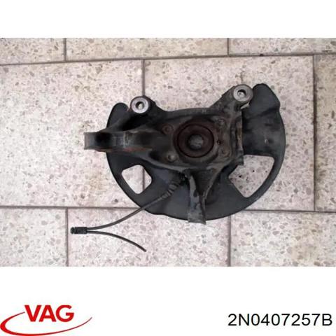 Цапфа (поворотный кулак) передний левый 2N0407257B VAG