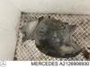 Подкрылок крыла переднего правый задний A2126906930 MERCEDES