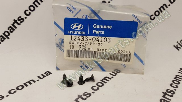 1244205207B HYUNDAI купить в Сумы
