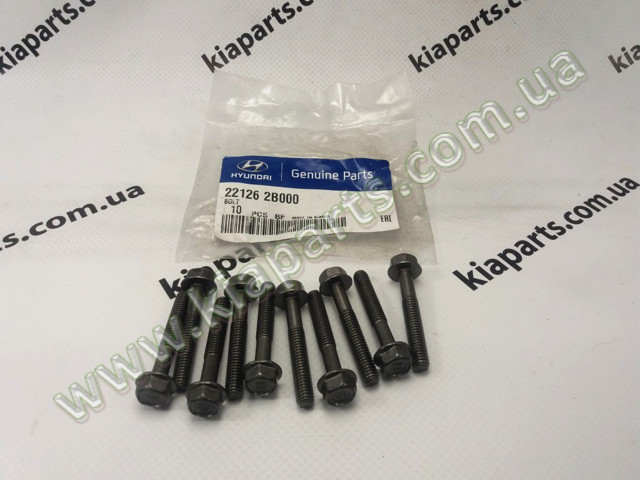 221443B001 HYUNDAI Сальник распредвала двигателя купить в Полтава