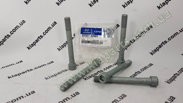 223222E000 HYUNDAI Болт ГБЦ купить в Ужгород