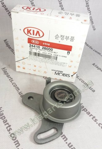HYUNDAI 2441026000 Ролик ГРМ в наличии Черновцы