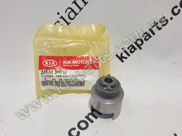 2454438010 HYUNDAI Ролик ГРМ купить в Хмельницкий