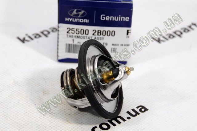 Термостат в корпусе Hyundai KONA