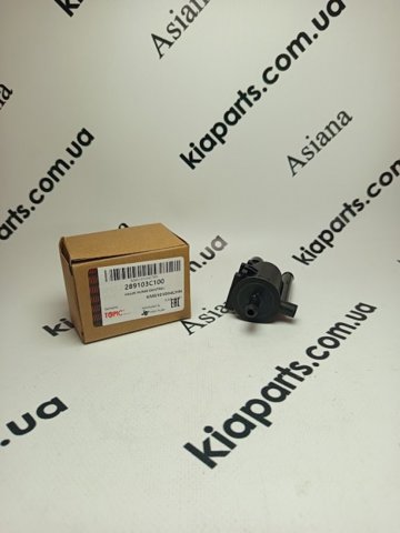 Клапан паров бака 289103C100 KAP