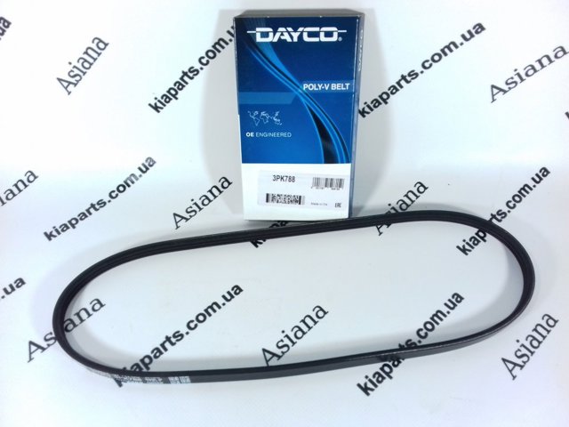 Клиновый ремень 3PK788 DAYCO