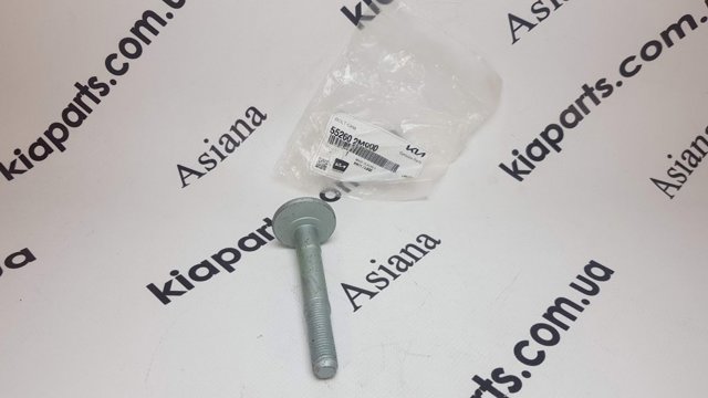 552603K100 HYUNDAI Болт крепления заднего нижнего рычага, внутренний купить в Ужгород
